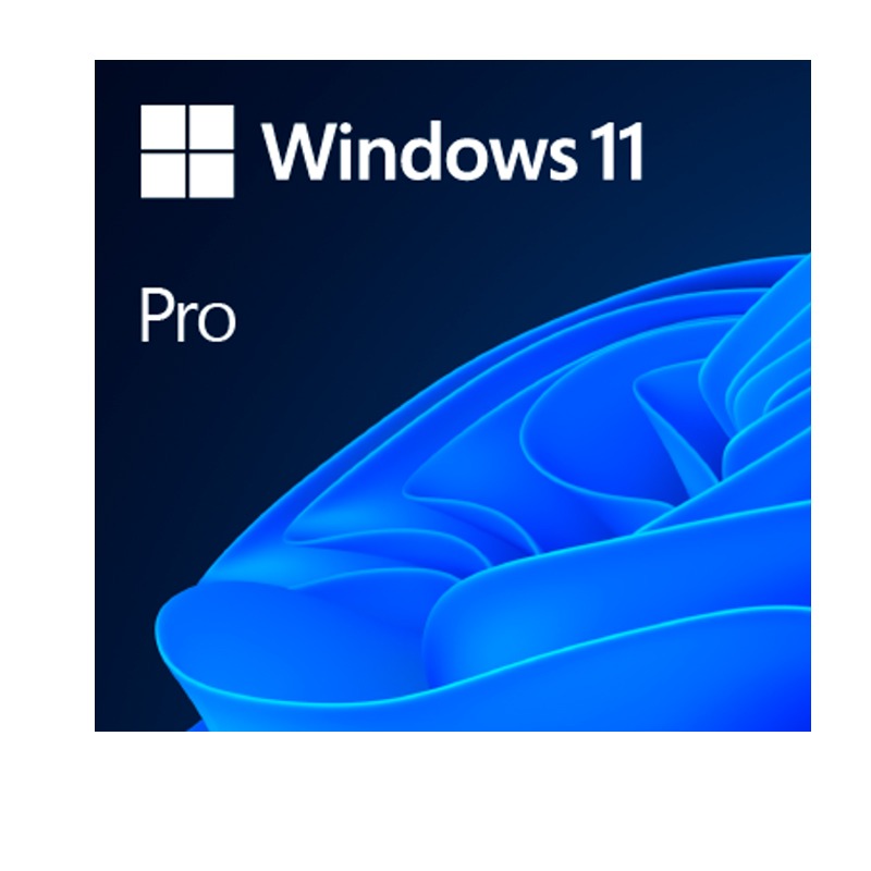WIN 11 PRO 64BIT SPANISH LATAM 